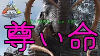 【Ark日記】Arkの生物ってみんな尊い....ではなく儚い命