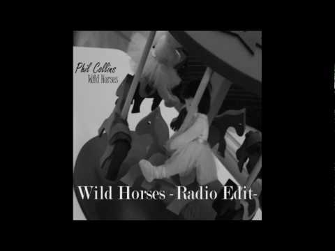 Wild Horses -Radio Edit- (AudioVideo Zmedia)