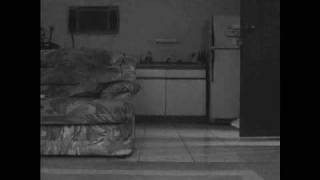 Knock Knock (Who's There)