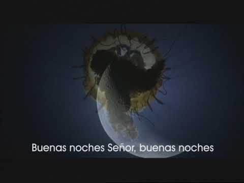 BUENAS NOCHES SEÑOR  | VÍDEO LYRIC | RICARDO CERATTO | LUZ DEL MUNDO | LUZTV