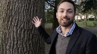 Forest of Friendship, Baggage Carousel of Jerks
