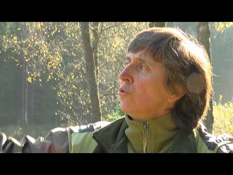 "Latvijas stāsti. Personības" - Velga Vītola (11.10.2014.)