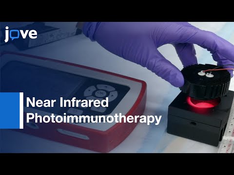 Selective Cell Elimination From Mixed 3D Culture:Near Infrared Photoimmunotherapy l Protocol Preview
