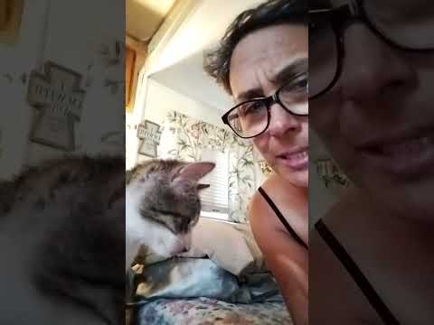 Telling Mercedes About His Upcoming Vet Appointment