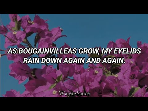 Nasa Histoires - Bugambilia/Bougainvillea (English Sub)