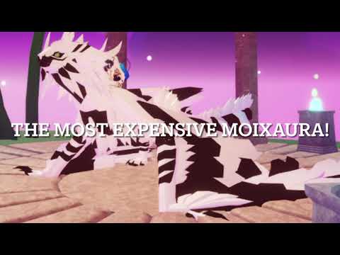 Making the most expensive MOIXAURA in Dragon Adventures Roblox!