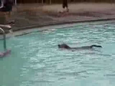 More Pool Adventures