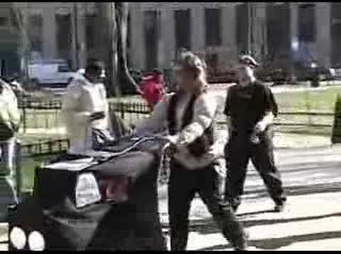 Idiotarod racing in Washington, DC