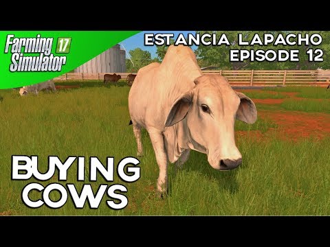Farming Simulator 17 Timelapse - Estancia Lapacho Episode 12