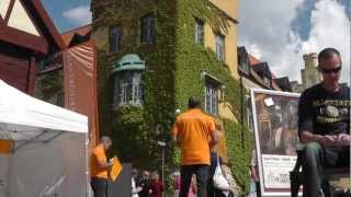 Labor Action! Fifteen Fights in the Battle for a Better World