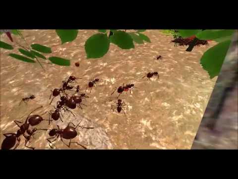 Ant Simulation 3D Video