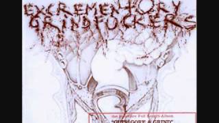 Excramentory Grindfuckers - Grindcore in your Face