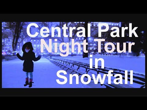 Central Park Night walk in Snowfall, 2019