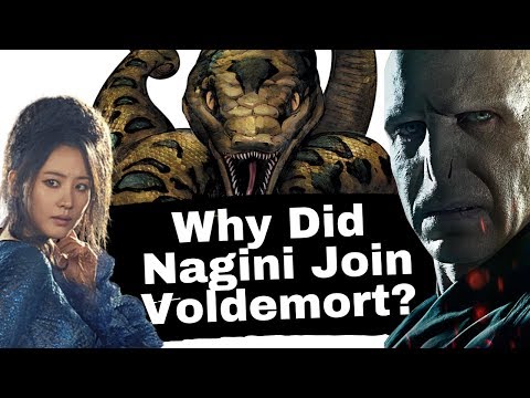 Why Did Nagini Join Voldemort?