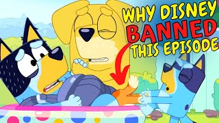 Disney Plus BANNED Cartoons: Bluey Episode Dad Baby is TOO CONTROVERSIAL in the US  (Bluey Theory)