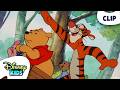 Pooh And Friends Battle Honey Thieves The New Adventures Of Winnie The Pooh Disneykids
