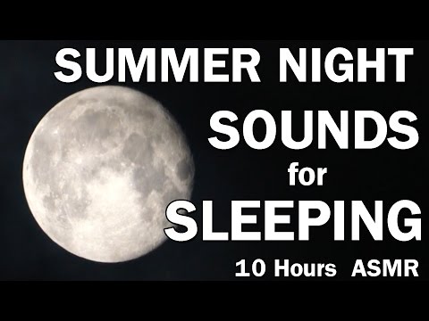 Summer Night Sounds for Sleeping 10 Hours with Crickets