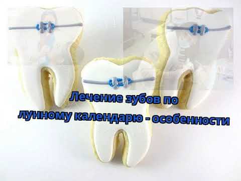 Лунный календарь окраски волос октябрь 2020. Лучший день недели для стрижки волос. Благоприятные даты для брака. Посадочные благоприятные дни в феврале. Благоприятные дни для посадки.