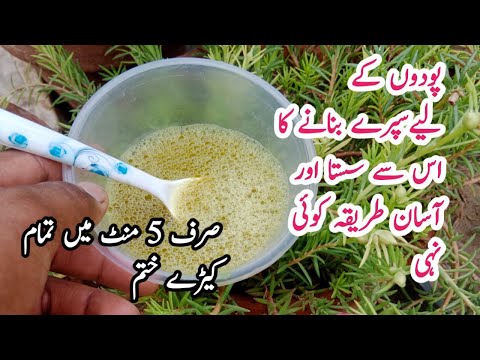 Make organic pesticides only 5 minutes | podon k liye spray banayen free me .