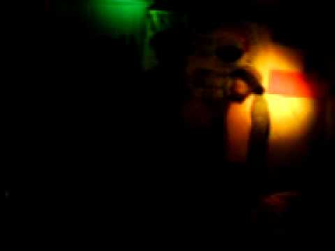 King Shiloh ft Jah Rootz @ Irie Vibes