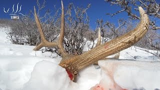 Shed Hunting for the BIG BOY &#39;Surrender&#39; Part 1 - TU Tuesday Episode 90