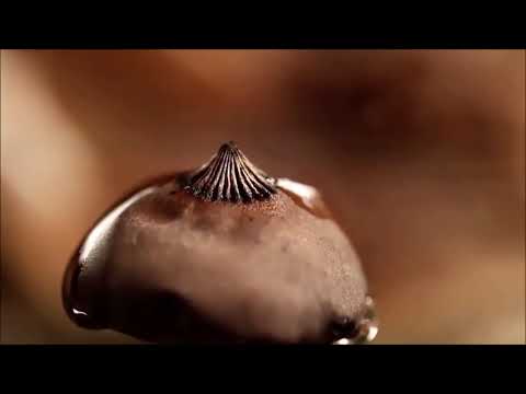 lee perry vin gordon words re vision