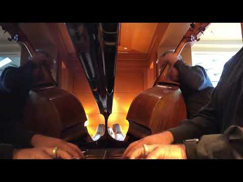 Promotional video thumbnail 2 for Brian Megilligan Music