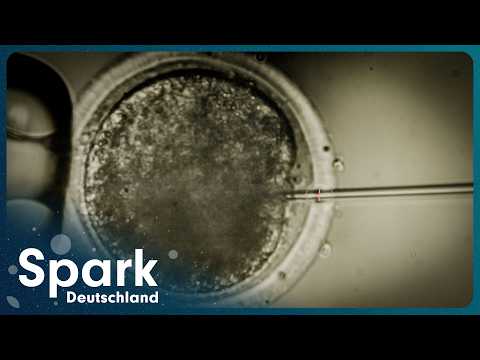 Erschaffen wir bald perfekte Menschen im Labor? | Gentechnik Doku