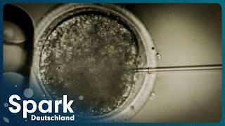 Erschaffen wir bald perfekte Menschen im Labor? | Gentechnik Doku