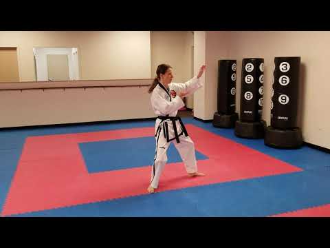 Dan Gun step by step for yellow belts