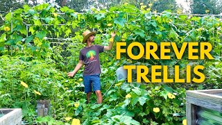 How to Build a Trellis That Lasts Forever