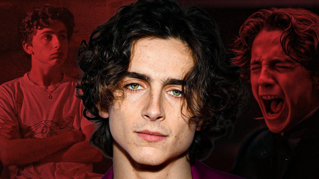 La VERDADERA razón por la que todos ODIAN a Timothée Chalamet
