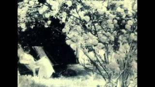 Dave Kusworth and The Bounty Hunters - Wives, Weddings and Roses