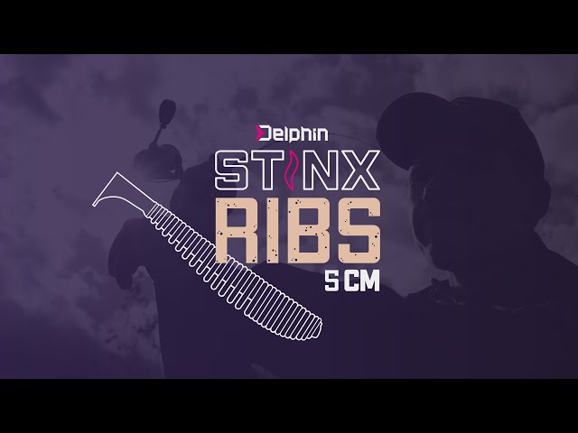 Soft lure Delphin B! StinxRIBS