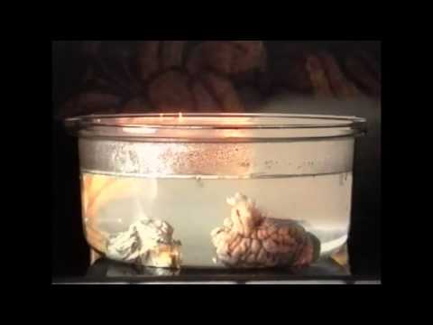 Ars Larson — eintopf (Video-Mix)