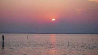 Rainhard Fendrich - Zwischen 1 und 4