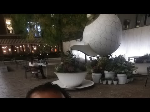 At in Maine Mayfair London 🇬🇧 Uk