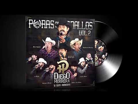 Diego Herrera y sus amigos - Puras de caballos