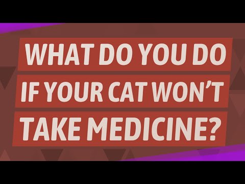 What do you do if your cat won't take medicine?