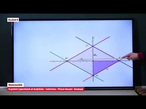 e Mesimi Klasa 9 - 9098 Matematikë -Kuptimi i pjerrësisë së drejtëzës - Ushtrime