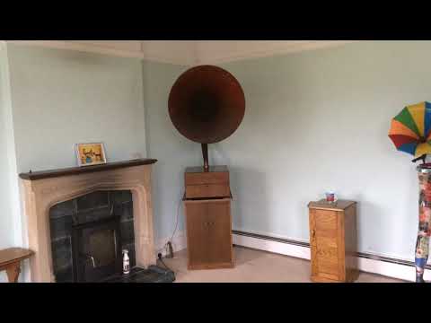 Five Harmaniacs: Sadie Green (whilst moving into new home March 2019)