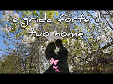 Il mio cuore cerca te...