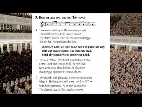 Ebner Chrispim - Hymns of Praise - Hinos de Louvores