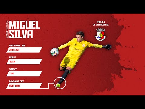 Miguel Silva