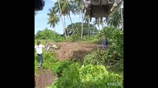 Porcupine vs Caterpillar Machine