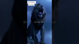 Download lagu mera Mola Haider Haider 🦁🤲 mp3