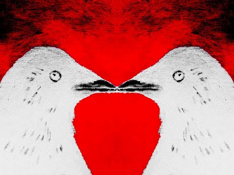 Bright Eagle