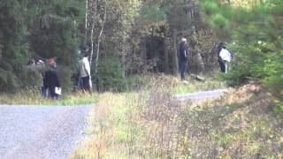 preview picture of video 'Rally Uppsala 2013 SS7'