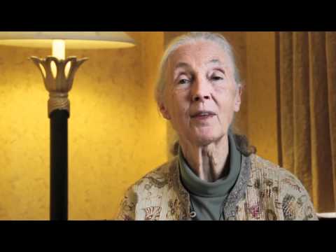 未来を守る会議で講演するジェーン・グドール氏 (Jane Goodall Addresses the Conserving the Future Conference)