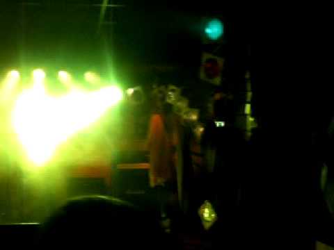 Die Tonköpfe - Schlafende Löwen (Live @ Musikum Braunschweig 2011)